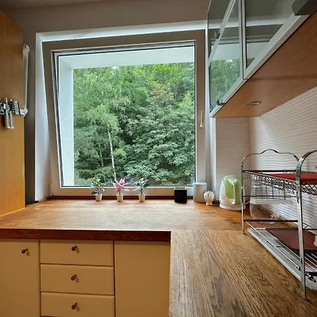 Nowy Deer Homestay